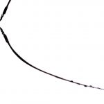 6236B15E-AB70-4989-9E46-E04B08C38213-15980-00000F07828C7201