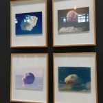 Arte Laguna Prize 2019