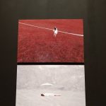 Arte Laguna Prize 2019