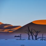 Trevor Cole, Deadvlei dunescape, Namibia