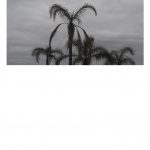 Pierluigi Fresia “Out of Place”