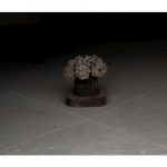 Pierluigi Fresia “Out of Place”