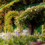 Maison-de-Claude-Monet-et-alleCC81e-des-iris-1