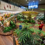 Changi_Singapore (2)