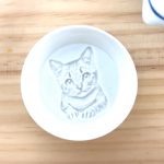dishes-sauce-images-appear-3d-print-japanese-redestu-18-5d1de5c803408__700