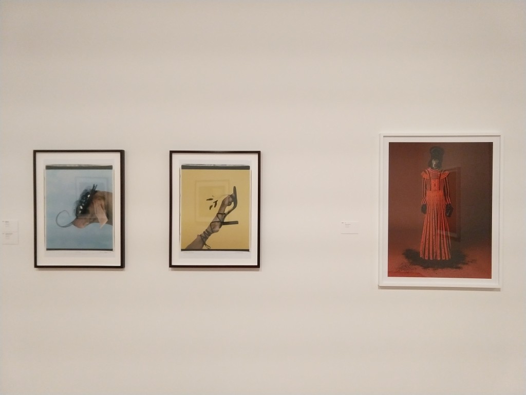 colori, interno, mostra di William Wegman, 3 fotografie di cani grigi su sfondi blu giallo rosso