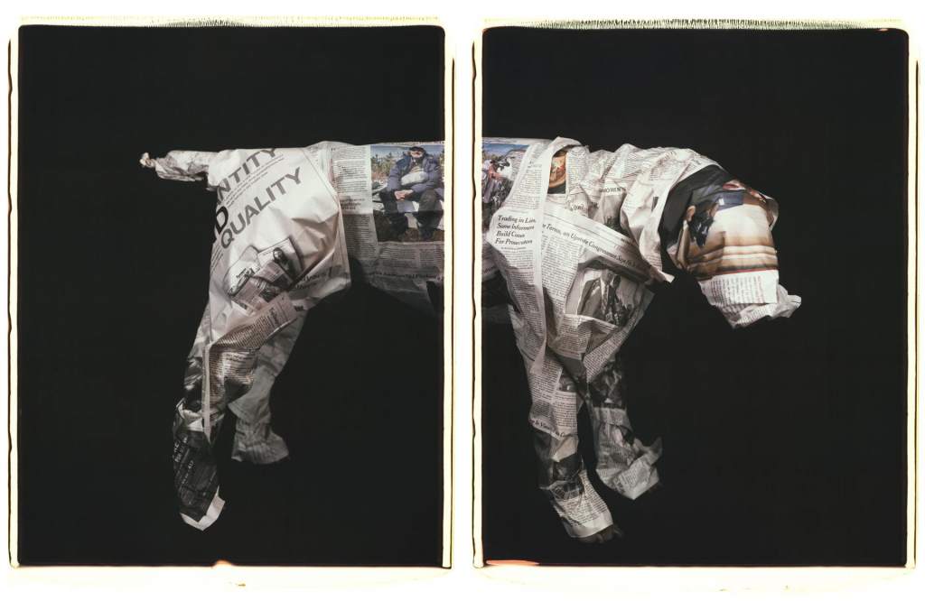 opera d'arte, dittico, fotografia colori di William Wegman, cane avvolto in carta di giornale su sfondo nero