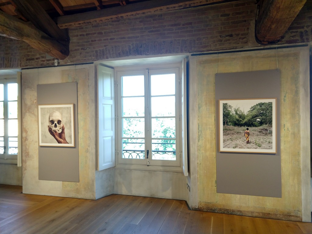 fotografia, colori, interno mostra fotografica Sony World Photography Awards alla Villa Reale di Monza