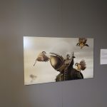 IMG_20190912_124846549