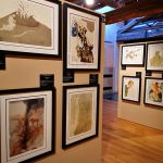 IMG_20191204_112643