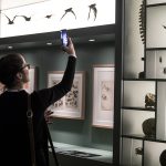 NuoveGallerieLeonardo_Disegnare-per-capire-il-mondo∏LorenzaDaverio_Museoscienza