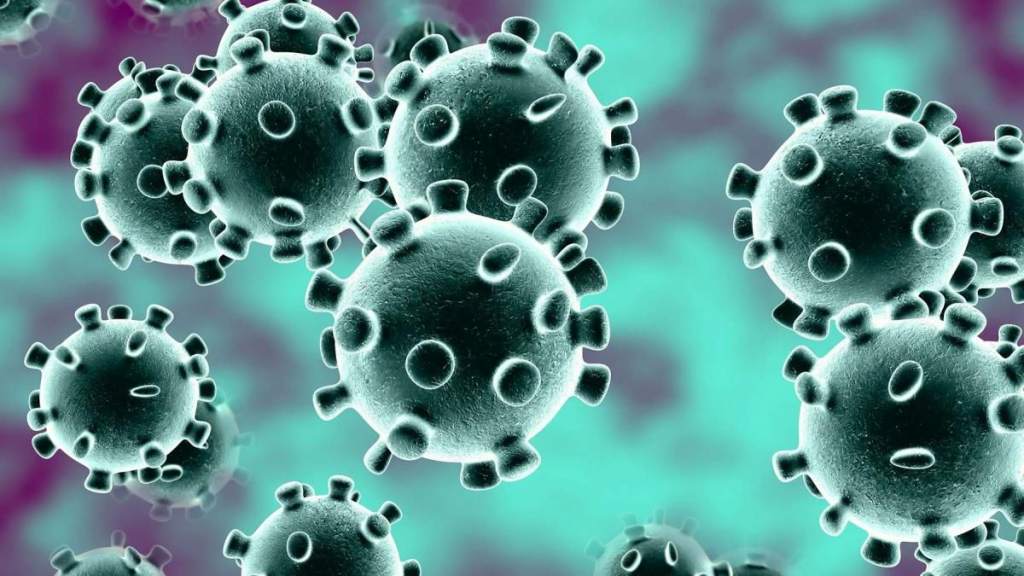 Coronavirus non è un complotto per vendere vaccini