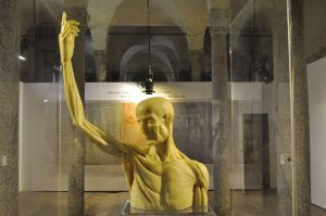 scultura_in_ceroplastica_busto_DSC_1875