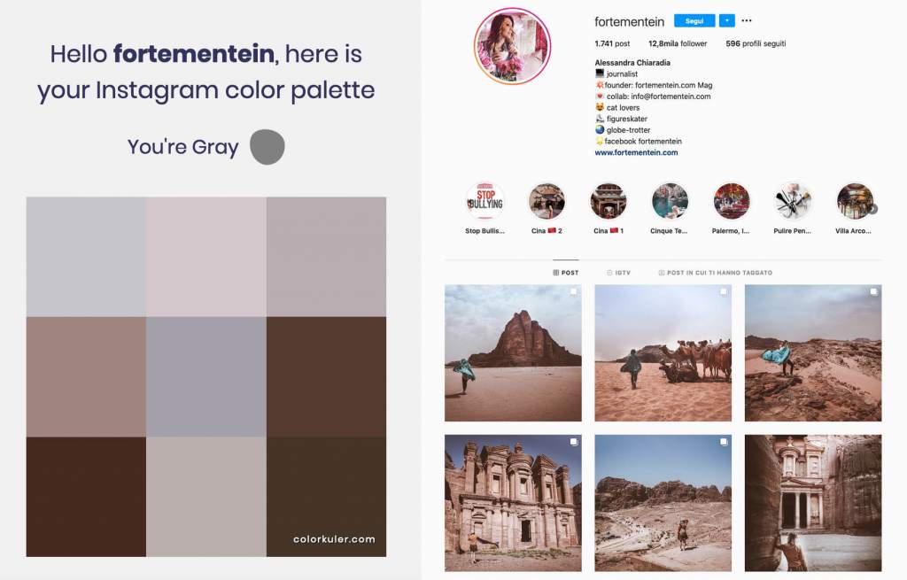 Di Che Colore E La Scarpa