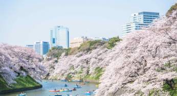 Tokyo: tour virtuale tra bellezze architettoniche, natura e musei