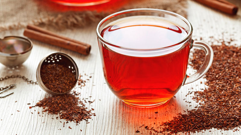 Rooibos, Sudafrica