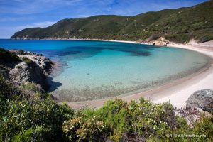 mare isola d'elba