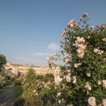 Schermata 2020-05-19 alle 12.28.45 copia