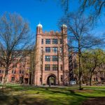 TEASER-YALE