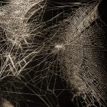 Tomás-Saraceno_Webs-of-Attentsion_Photography-©-Ela-Bialkowska-OKNO-Studio