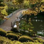 botanic garden japanese garden.2013_Web72DPI