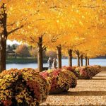 Chicago Botanic Garden (1)