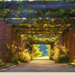 Chicago Botanic Garden, Glencoe, Illinois 7
