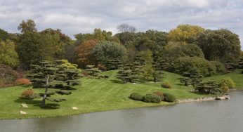 Time for Nature: cinque incredibili giardini botanici negli Stati Uniti