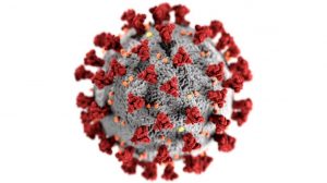 coronavirus