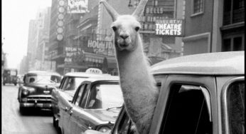 Inge Morath in mostra a Milano: prima fotografa donna della Magnum Photos