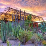 Desert-Discovery-Trail_Desert-Botanical-Garden_Adam-Rodriguez-1