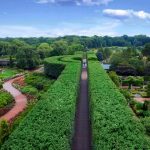 IL_Chicago_CNSCVB_Chicago Botanic Garden new shot