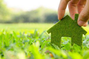 casa fatta di erba immersa nel verde tenuta da una mano