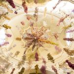 Rebecca Louise Law, Florilegium, 2020. Credits OTTN Projects (4)