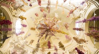 Rebecca Louise Law conquista Parma con i 200mila fiori di Florilegium