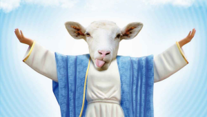 Il catechismo della pecora