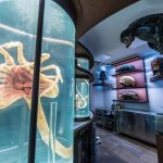 vieni-a-cena-in-un-astronave