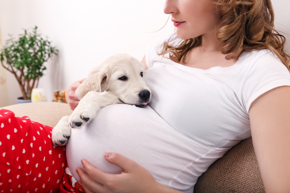 donna in gravidanza con cane appoggiato sulla pancia