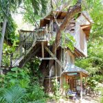 Treehouse – Miami