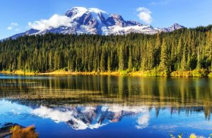 vista panoramica del monte Rainier con davanti una fitta boscaglia che si riflette sull'acqua di un lago