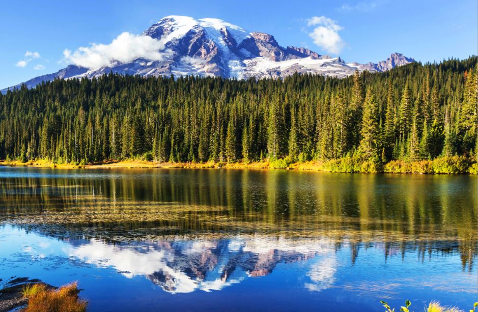 vista panoramica del monte Rainier con davanti una fitta boscaglia che si riflette sull'acqua di un lago