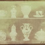 5. Foto – foxtalbot08