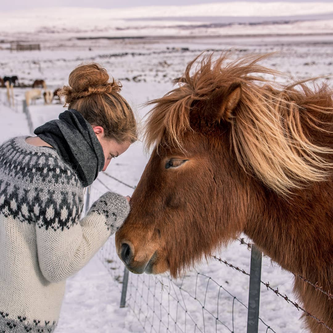 Anatomia di un vegano martina mentre accarezza un cavallo