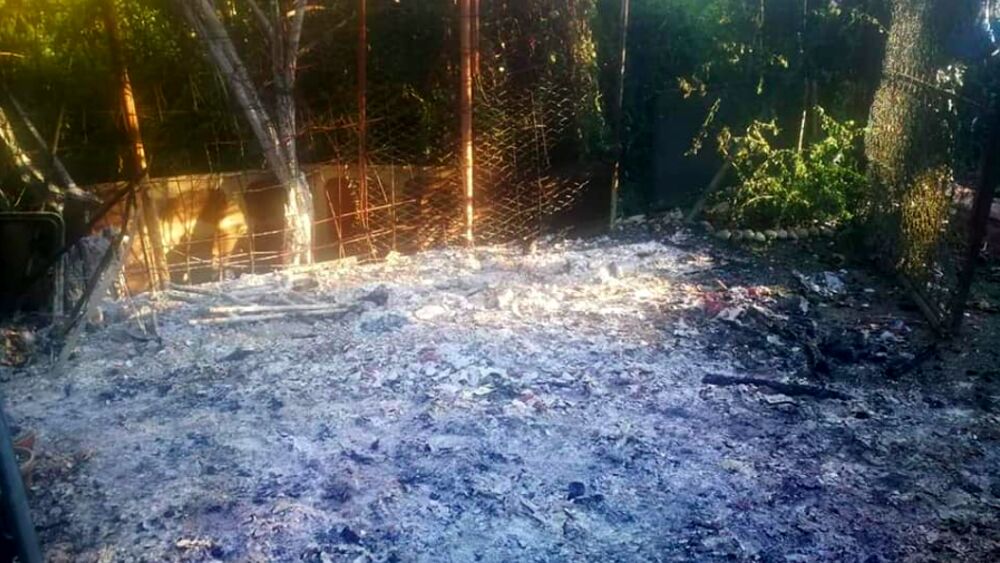 bruciata la colonia felina di Milano innagini dell'incendio