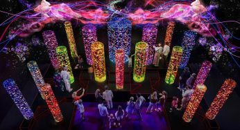 Gli acquari di Tokyo si rinnovano, colori, geometrie e giochi di luce