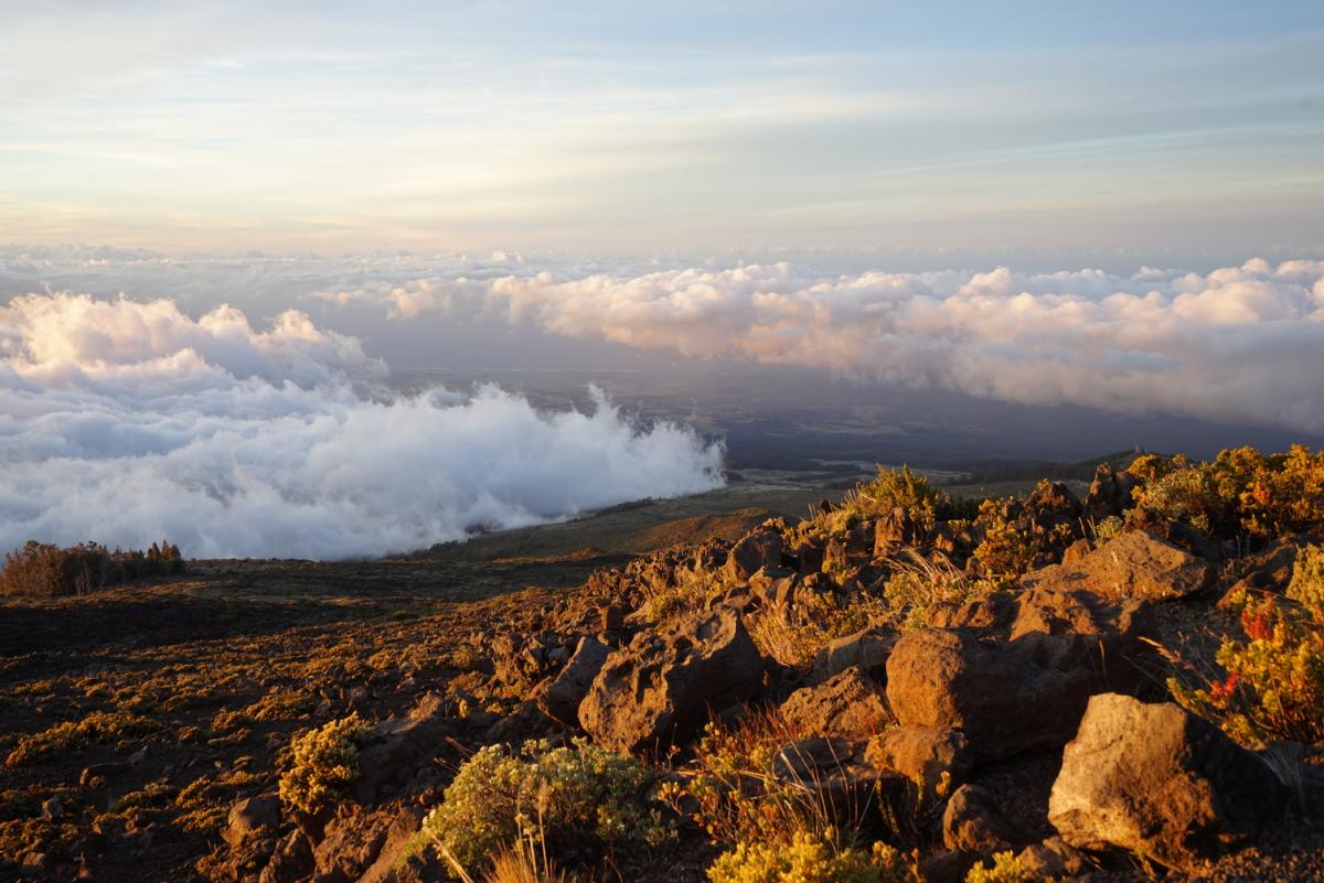 La grandiosa natura degli Stati Uniti Maui, Hawaii