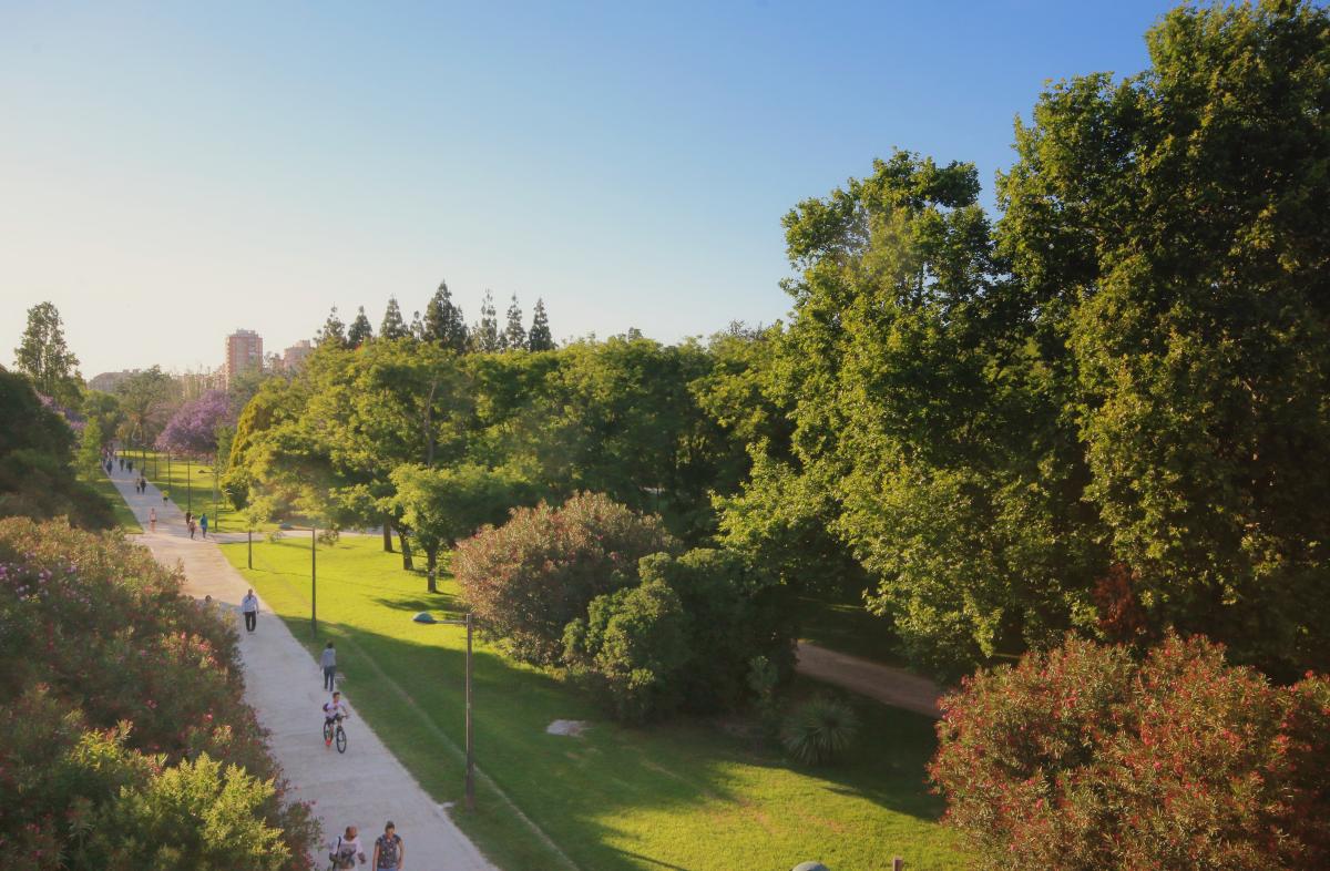 L’estate infinita di Valencia vista dall'alto del parco