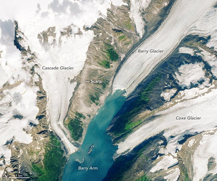 tsunami nel fiordo dell'Alaska immagine satellitare