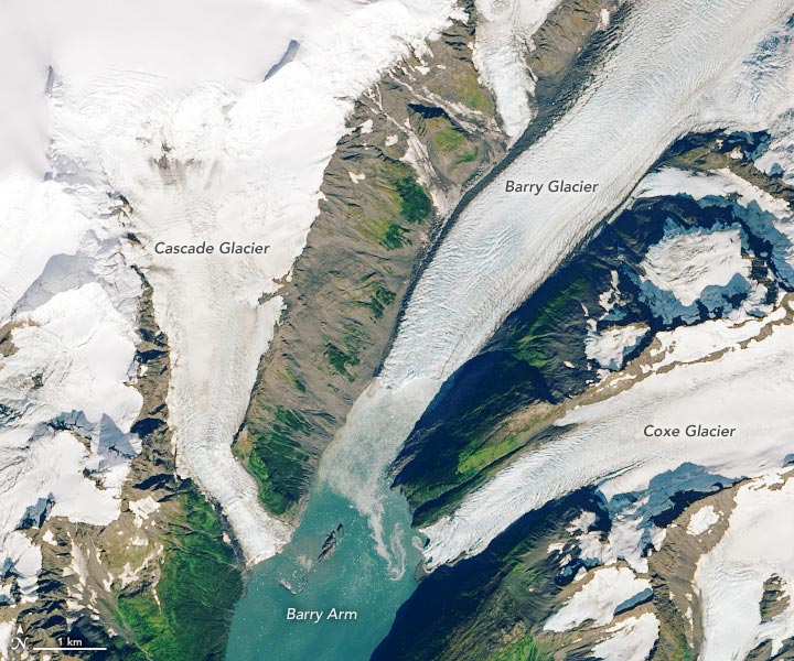 tsunami nel fiordo dell'Alaska immagine satellitare