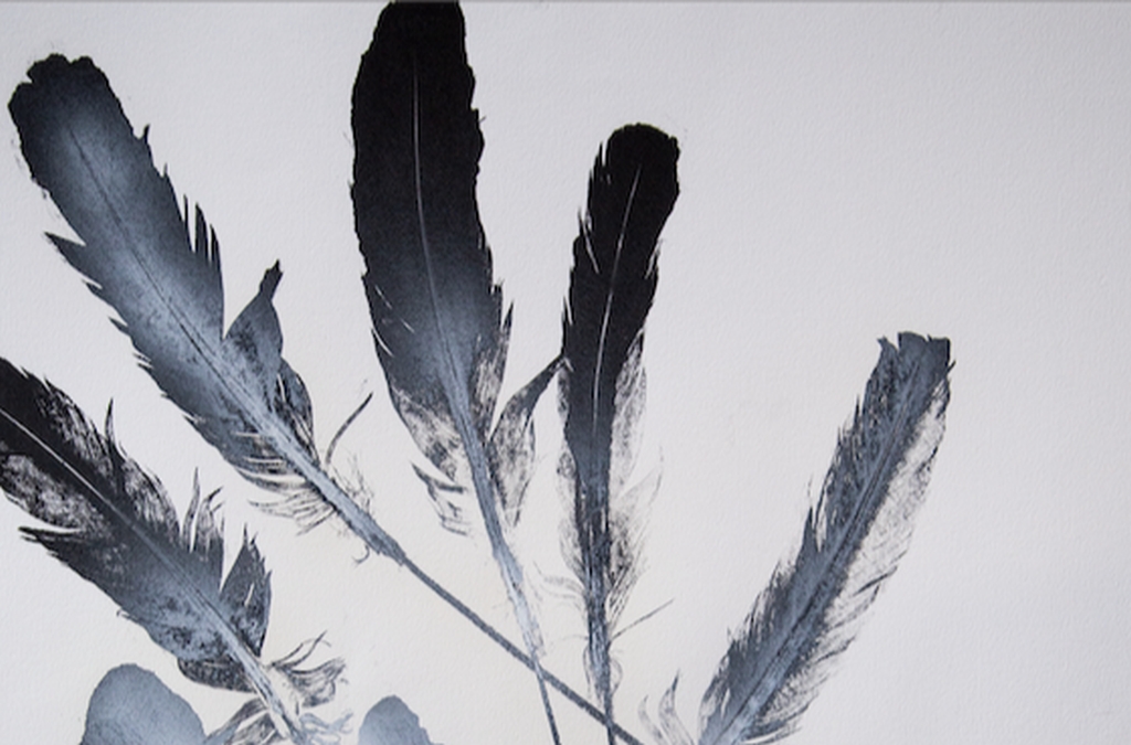 Julia Bornefeld, opera su carta bianca con piume nere dell'artista tedesca